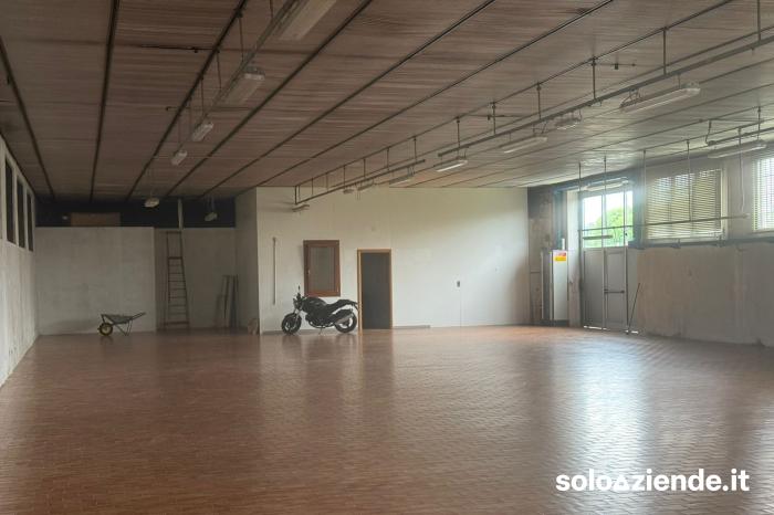 Affitto Locali commerciali e artigianali CAPANNONE USO ARTIGIANALE a Villa del Conte (PD)